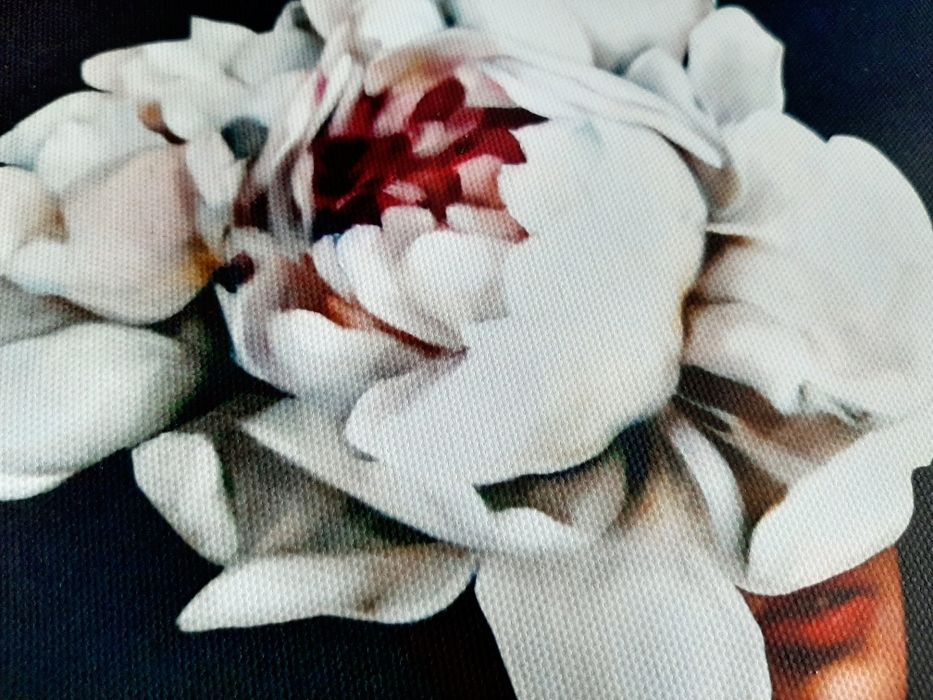 Картины фотопечать на холсте постеры