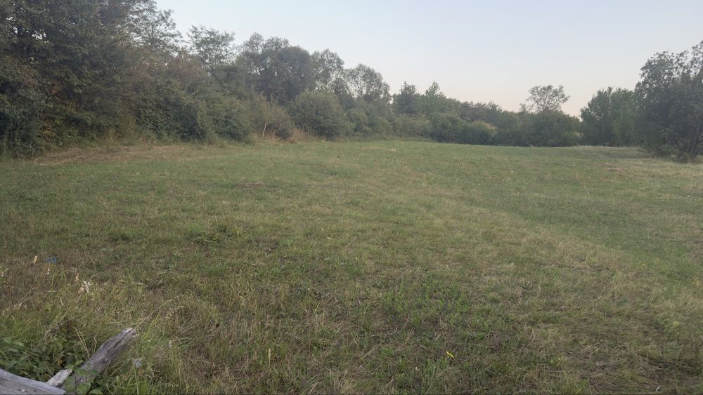 Teren de vanzare extravilan