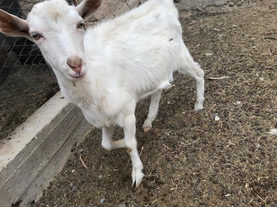 Мытищидегі жеке пәтерлер