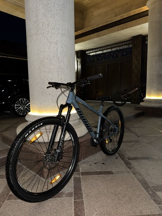 В продаже author vesus 2.0