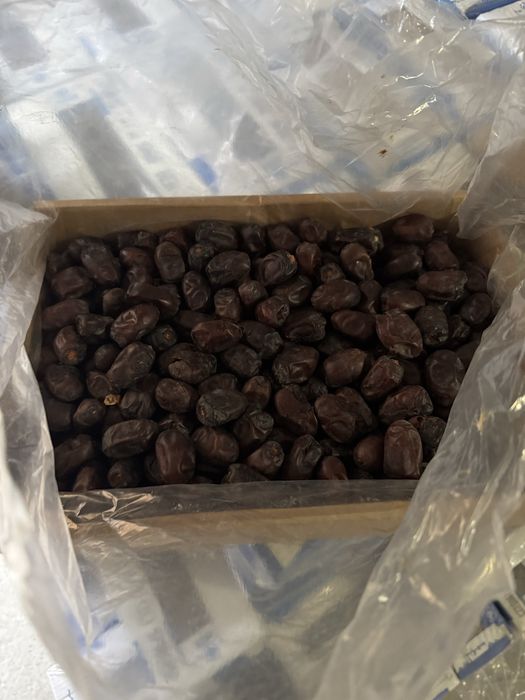 Eron xurmosi Иранский финики