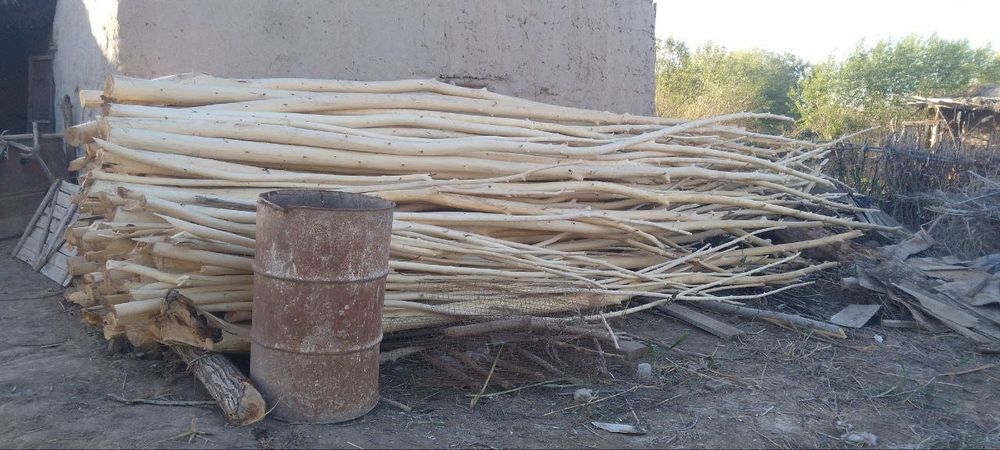 Agash xoda  sotiladi Aq sovit