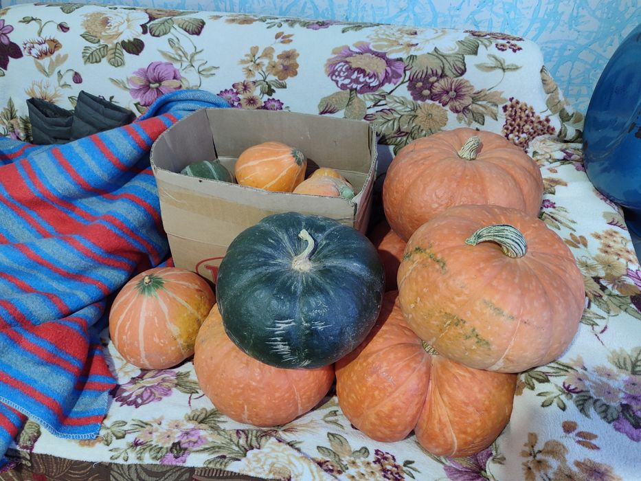 Продам домашнюю тыкву, лечо, икра кабачковая, свекольная.