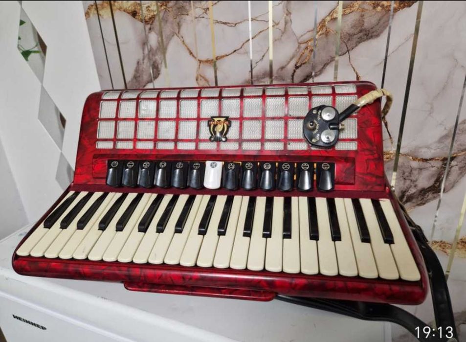 Acordeon Parrot 120 basi