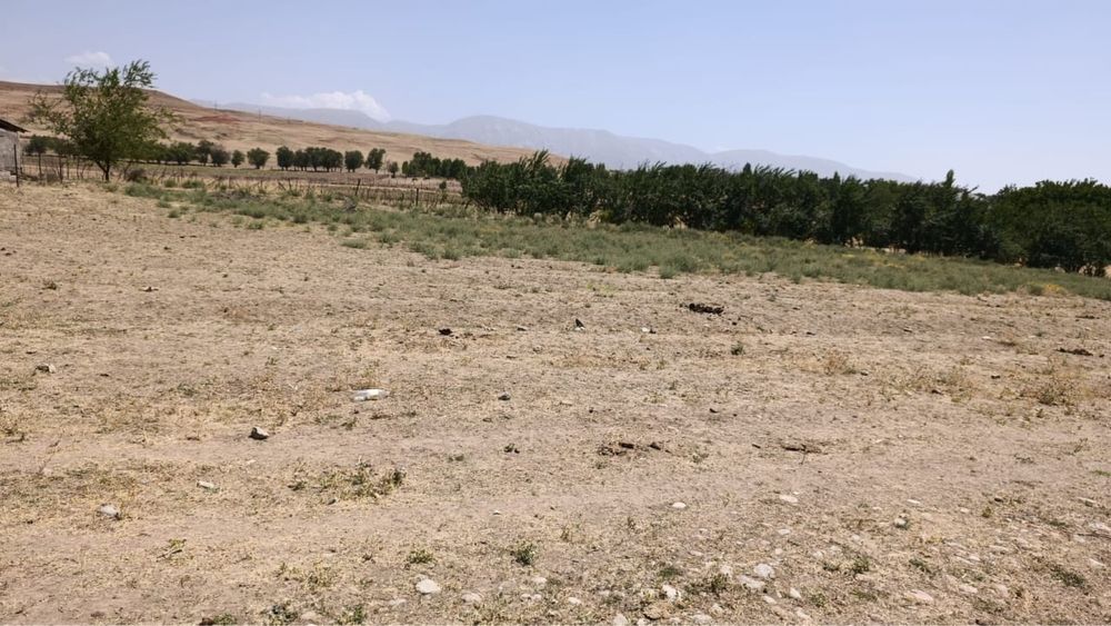 Жер сатылады 15 соттық