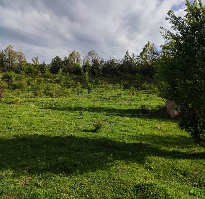 Продава се Парцел в Перник, Изток - 11803 кв.м за 16 €/кв.м - Снимка #14