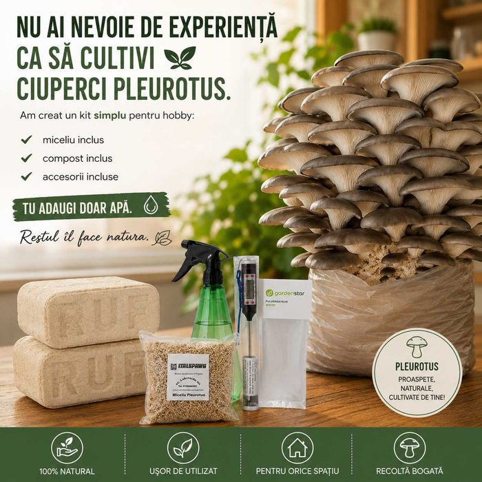 Kit complet-Cultiva Pleurotus acasa,