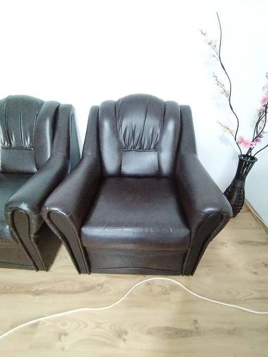 Fotolii din piele