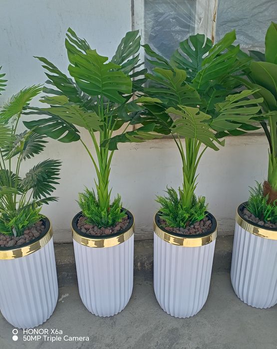 Сунний декор гуллар оптом нархларда.Навои шахар.