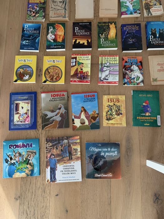 Carti diverse orice la 10 lei