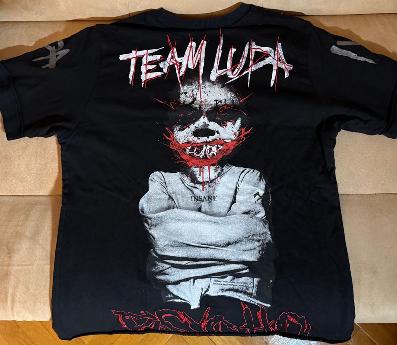 Тениска луда (team luda)
