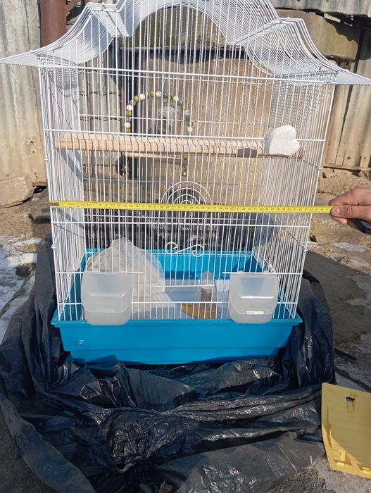 Vând colivie papagali