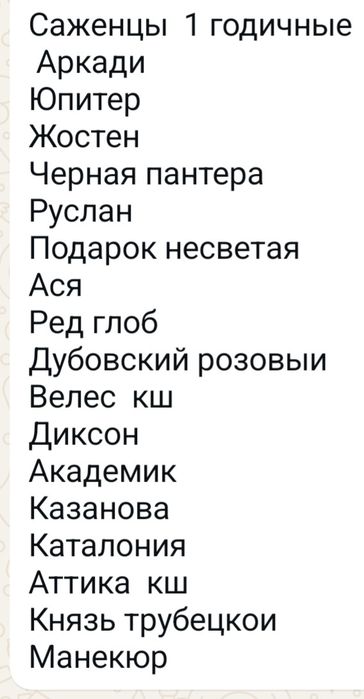 Жүзім кошет виноград