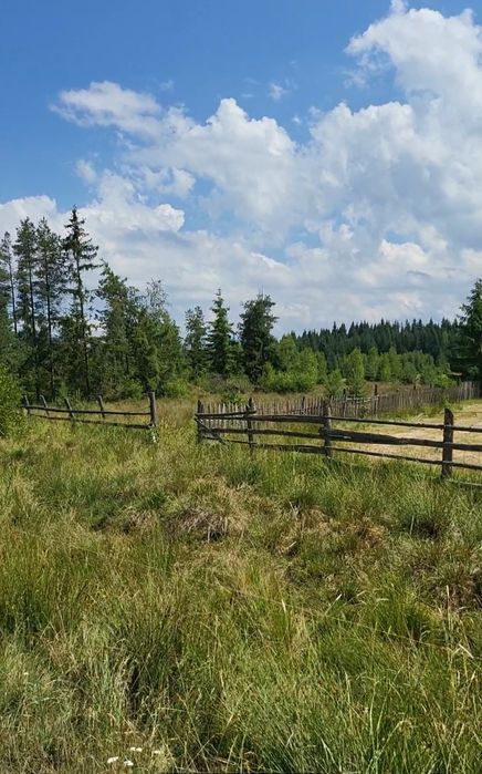 Teren de vânzare Șaru Dornei