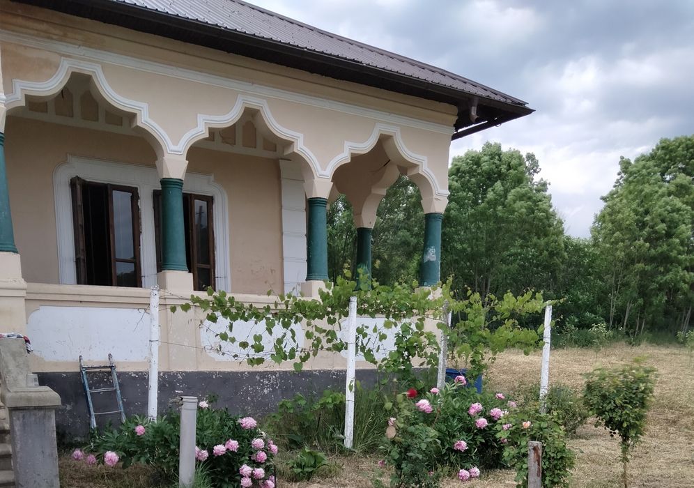 Casă la țară stil conac