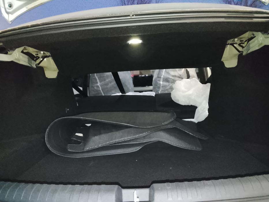 Build your dream seal 06