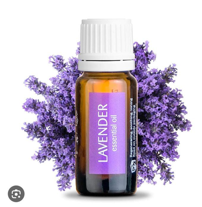 Vând ulei esențial de lavandă k9