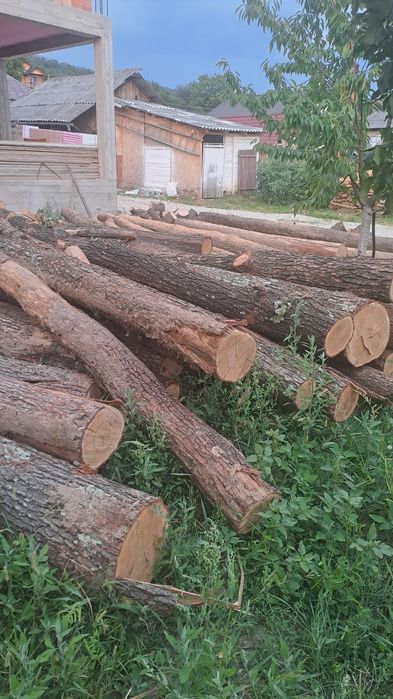 Lemn stejar construcții