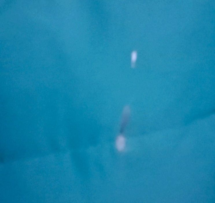 Geaca iarna dama SpringField stare buna ( mic defect pe spate o pata m