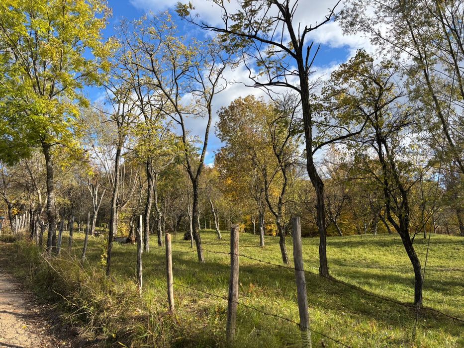 Teren intravilan de vânzare