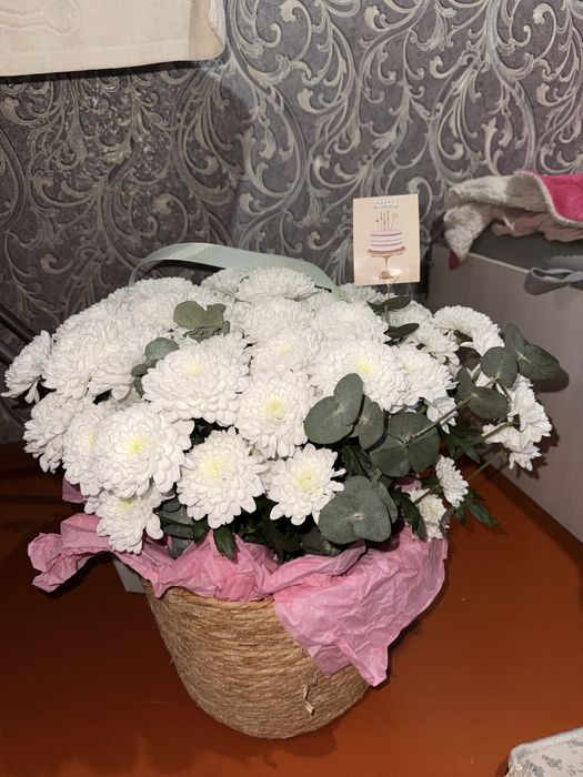 Гүлдер сатылады арзан бағада