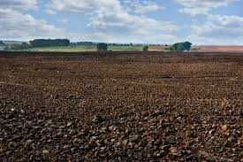 Ижарага дехкончилик учун  ер. 7 га