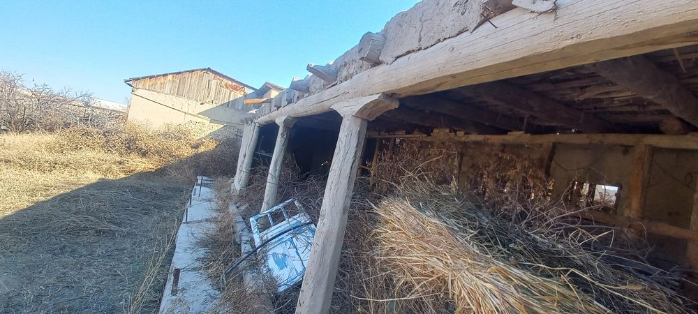 Боло харвасталар сотилади нархини келишамиз