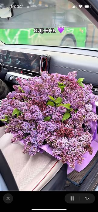 Большой букет сирени