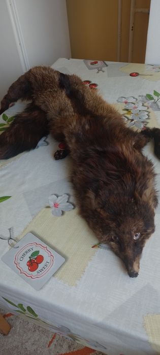 Яка от цяла естествена лисица