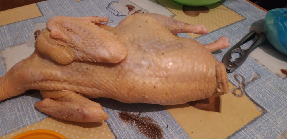 Продаю индейку домашнию