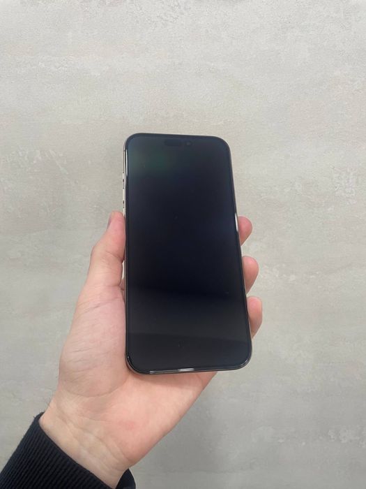 16 Pro Max 256Gb 100%