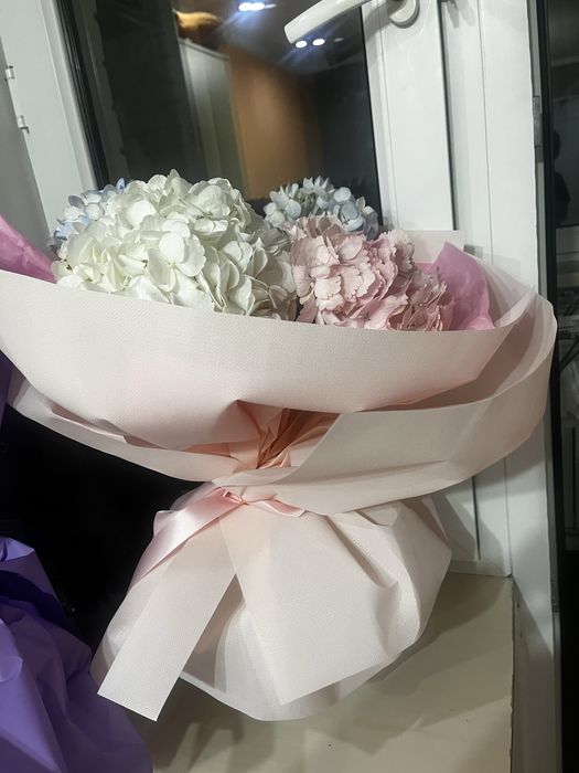 Продам цветы в отличном состояний