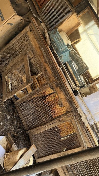 Клетки для кролов