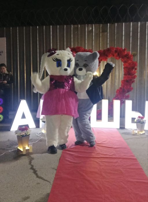 Мишки на прокат