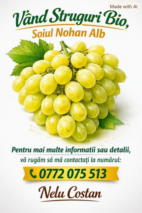 Struguri nohan alb De Vânzare