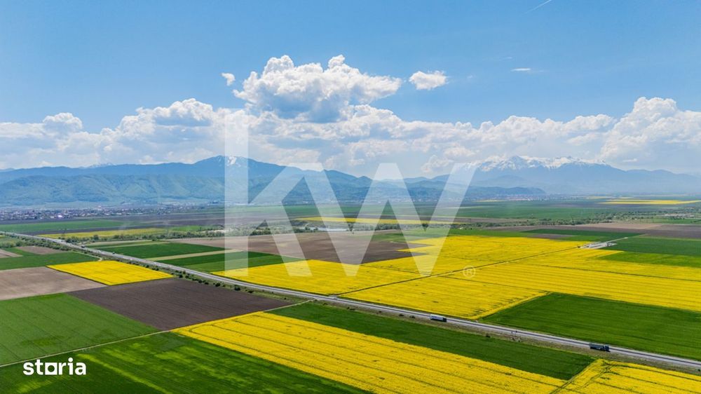 Teren 10.600 mp in Codlea – ideal pentru investitie industriala