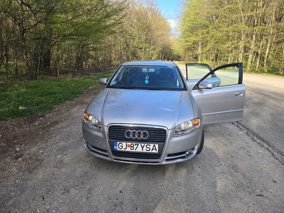 Audi a4 b7 1.9 tdi 0730073635