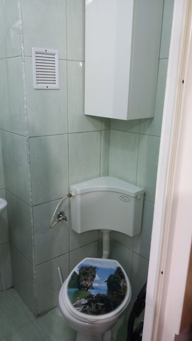 Dau în chirie garsoniera in Carpați pe codrului Nr 6