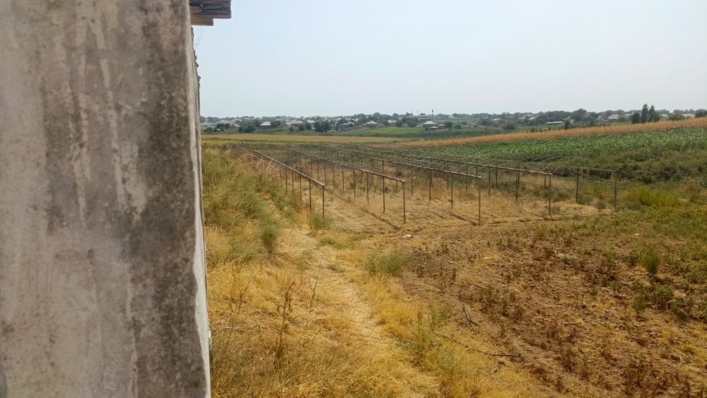 Назарбек тарафда 2 гектар ер селхознозночение доимие фоедаланиш