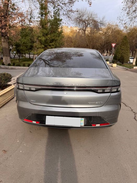 Byd Chazor flagship 2023