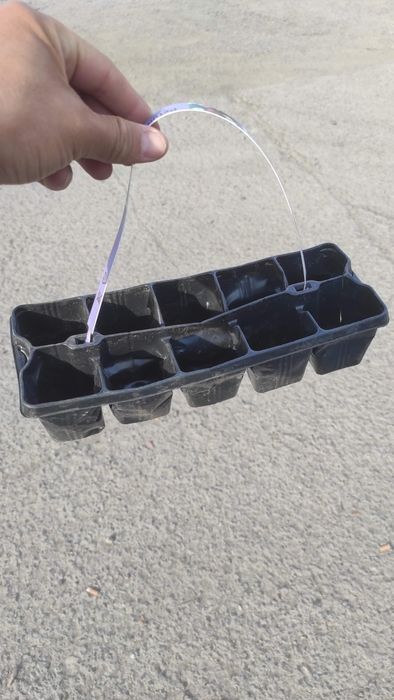 Объявление о продаже кассет для рассады