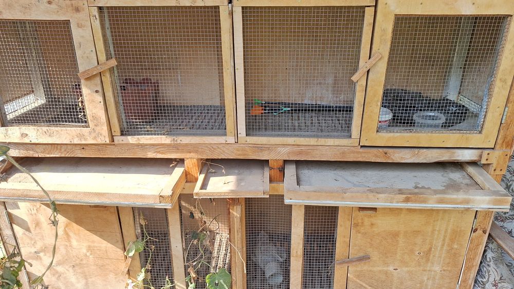 Клетка для кроликов