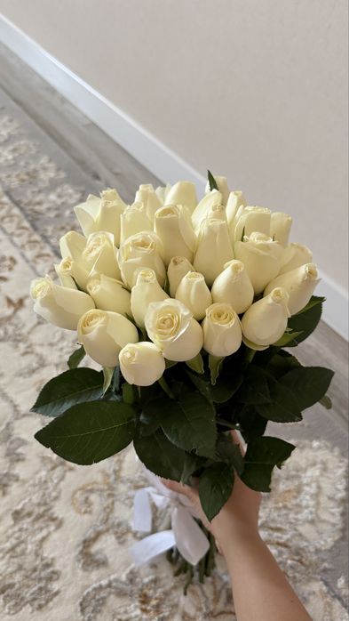 33шт ак роза,свежий