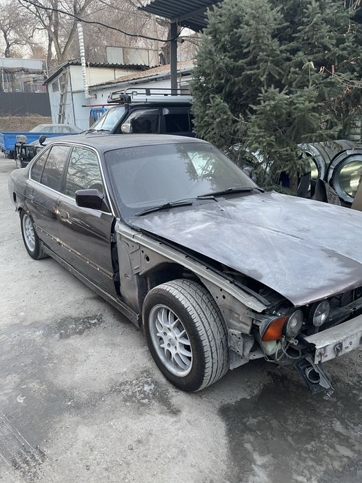 Маляр любой слозности