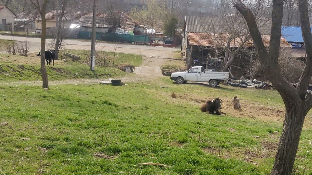 Teren cu casa demolabila, Racovițeni, Buzau