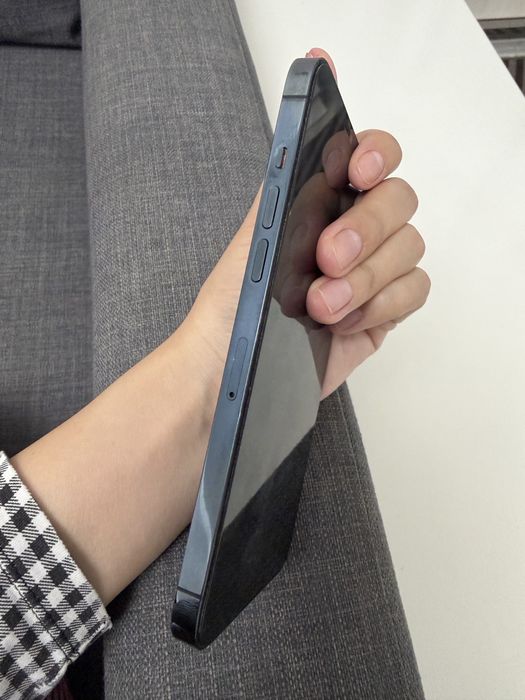 iphone 12 pro max 256