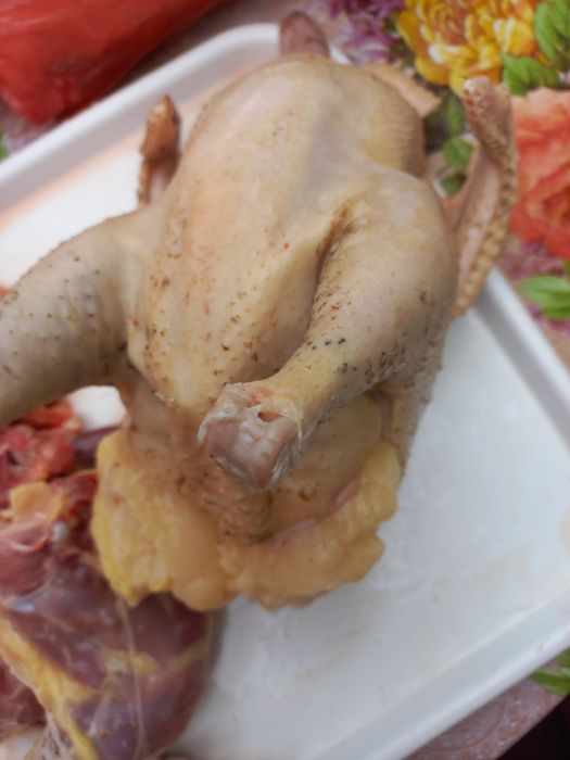 Curcani si pasari de vanzare cu livrare in București si ilfov si Giurg