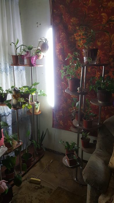 Продаются полки новые