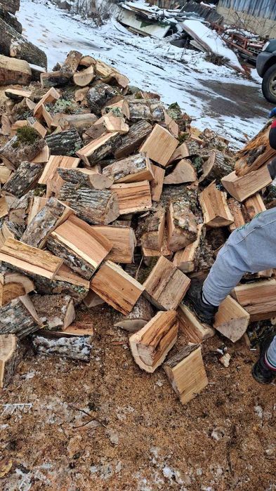 Дърва за огрев Дъб