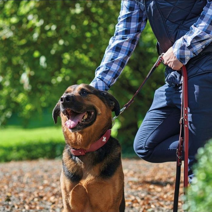 Кучешка каишка - кожена , Hunters